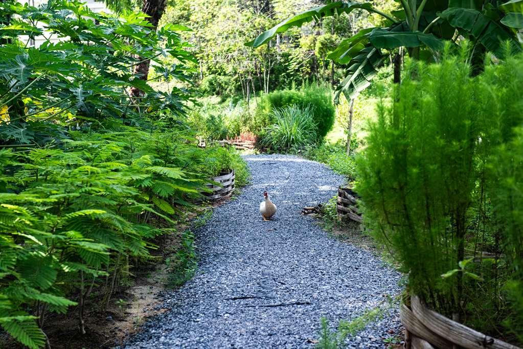 Anantara Koh Yao Yai Resort Phang Nga Eksteriør billede